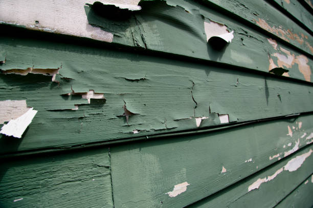 Best Historical Building Siding Restoration  in Mercerville, NJ